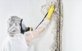 Best Dehumidification Services  in Avodo Heights, CA